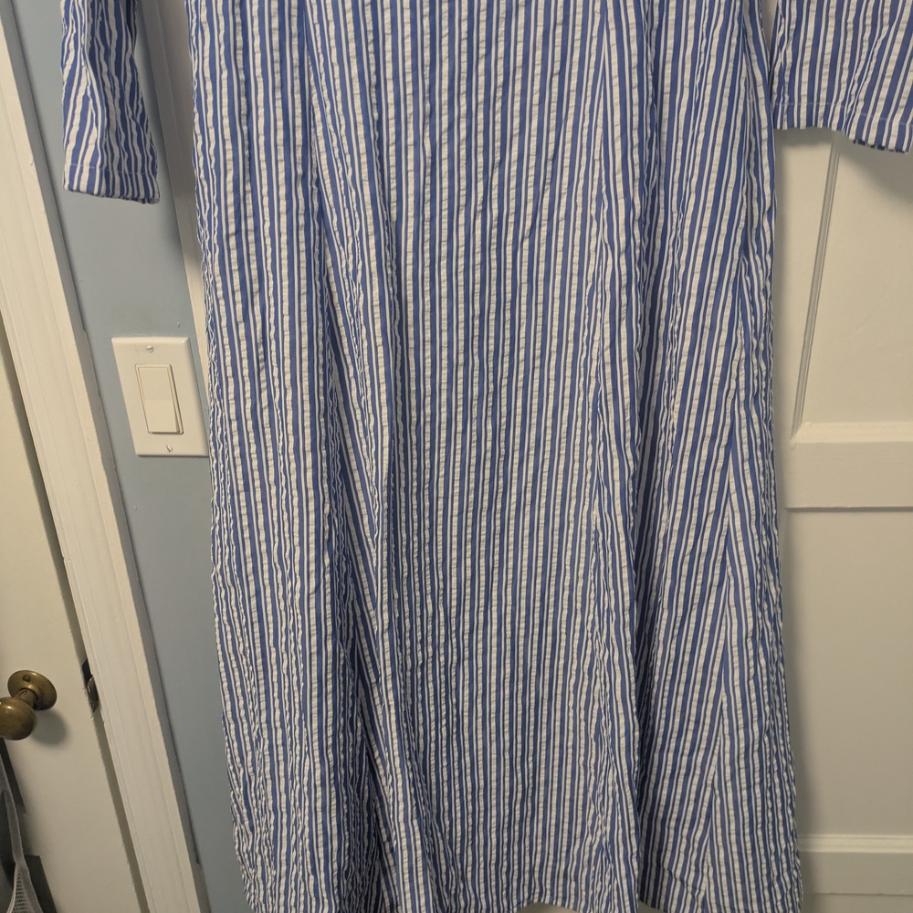 Anthropologie Blue and White Striped Maxi Dress - Picture 10 of 13